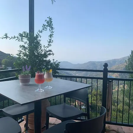 Two Flowers 2* Pedhoulas