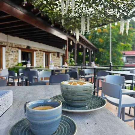 双花酒店 酒店 佩多拉斯