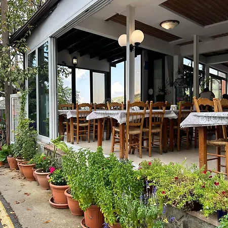 Hotel Two Flowers Pedhoulas