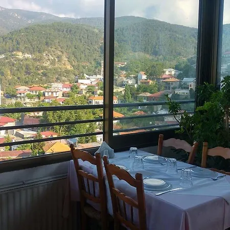 Hotel Two Flowers Pedhoulas