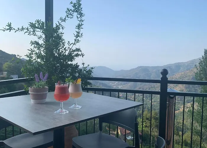 Two Flowers 2* Pedhoulas