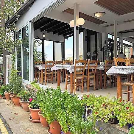 双花酒店 佩多拉斯
