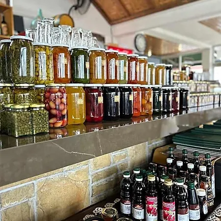 双花酒店 佩多拉斯